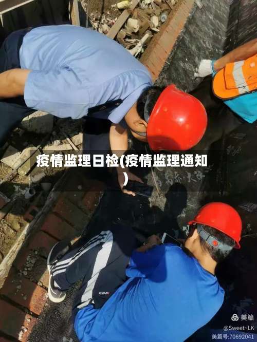 疫情监理日检(疫情监理通知)-第3张图片
