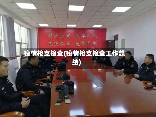 疫情枪支检查(疫情枪支检查工作总结)-第3张图片