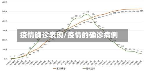 疫情确诊表现/疫情的确诊病例-第2张图片