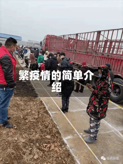 繁疫情的简单介绍