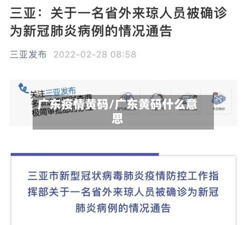 广东疫情黄码/广东黄码什么意思