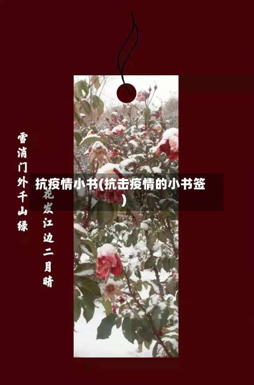 抗疫情小书(抗击疫情的小书签)