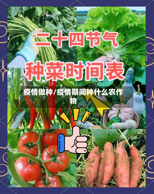 疫情做种/疫情期间种什么农作物-第2张图片