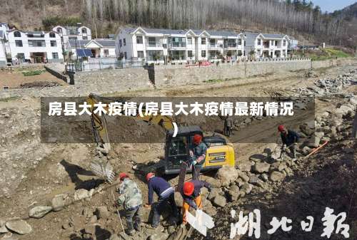 房县大木疫情(房县大木疫情最新情况)