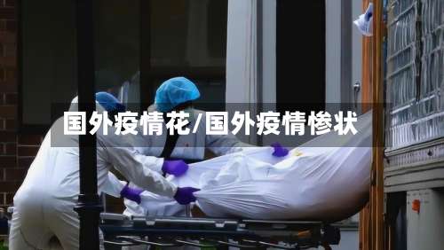 国外疫情花/国外疫情惨状