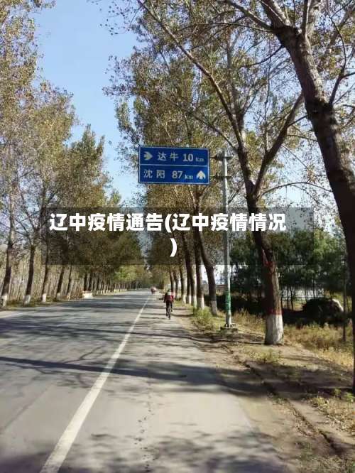 辽中疫情通告(辽中疫情情况)-第3张图片