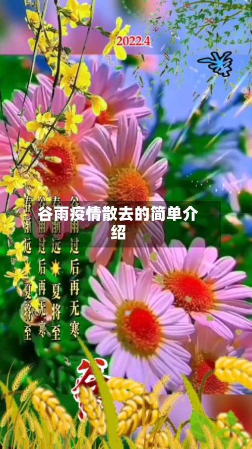 谷雨疫情散去的简单介绍-第2张图片