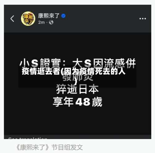 疫情逝去者(因为疫情死去的人)