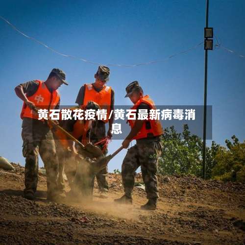 黄石散花疫情/黄石最新病毒消息-第2张图片