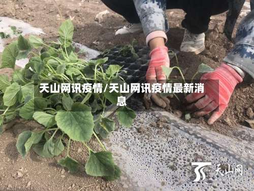 天山网讯疫情/天山网讯疫情最新消息