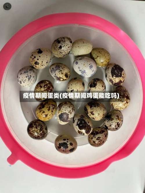 疫情期间蛋类(疫情期间鸡蛋能吃吗)-第3张图片
