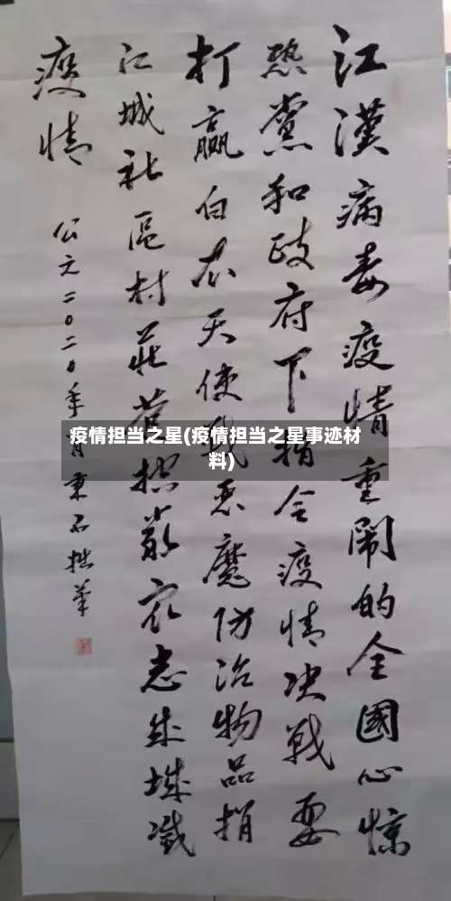 疫情担当之星(疫情担当之星事迹材料)