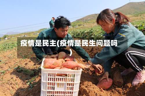 疫情是民主(疫情是民生问题吗)
