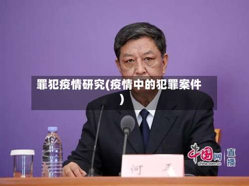 罪犯疫情研究(疫情中的犯罪案件)-第2张图片