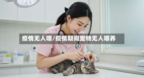 疫情无人喂/疫情期间宠物无人喂养-第2张图片