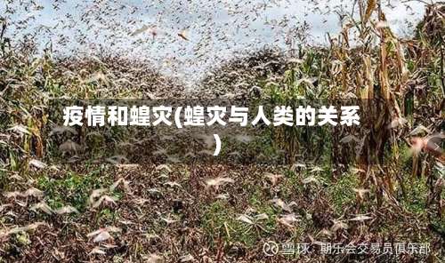 疫情和蝗灾(蝗灾与人类的关系)