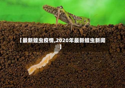 【最新蝗虫疫情,2020年最新蝗虫新闻】-第2张图片