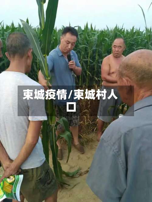 束城疫情/束城村人口-第2张图片