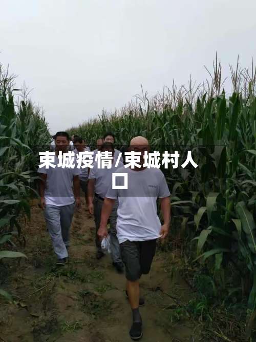 束城疫情/束城村人口