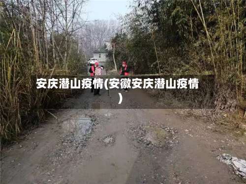 安庆潜山疫情(安徽安庆潜山疫情)