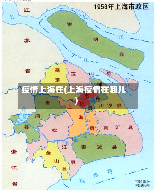 疫情上海在(上海疫情在哪儿)-第2张图片