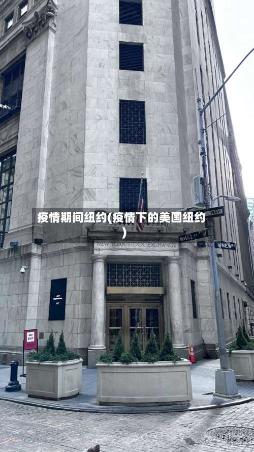 疫情期间纽约(疫情下的美国纽约)-第3张图片