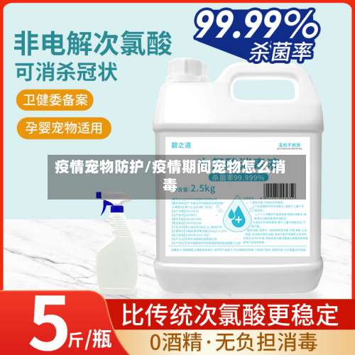 疫情宠物防护/疫情期间宠物怎么消毒
