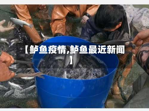 【鲈鱼疫情,鲈鱼最近新闻】-第2张图片