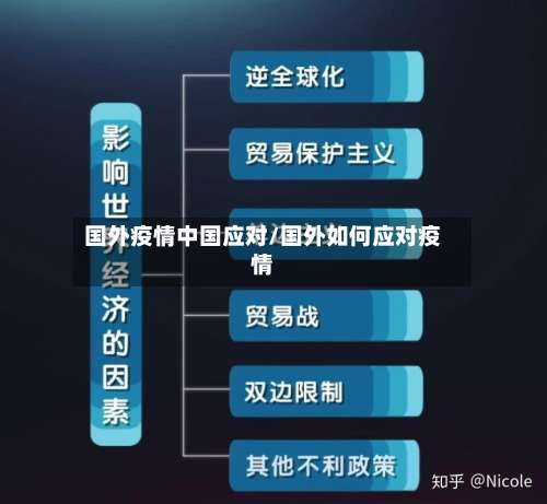 国外疫情中国应对/国外如何应对疫情-第2张图片