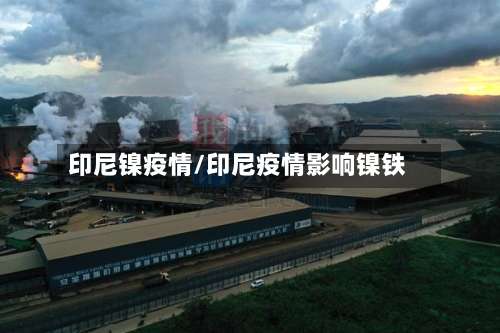印尼镍疫情/印尼疫情影响镍铁-第3张图片