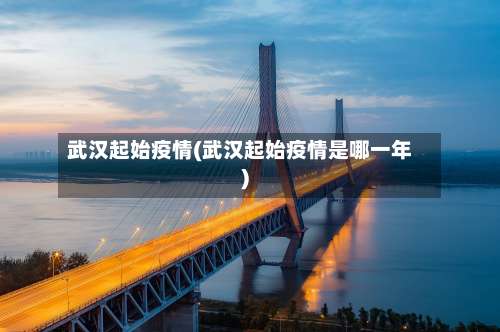 武汉起始疫情(武汉起始疫情是哪一年)-第2张图片