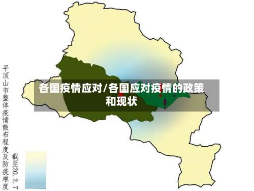 各国疫情应对/各国应对疫情的政策和现状-第2张图片