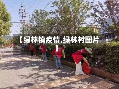【绿林镇疫情,绿林村图片】