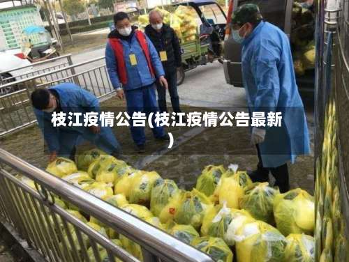 枝江疫情公告(枝江疫情公告最新)-第2张图片