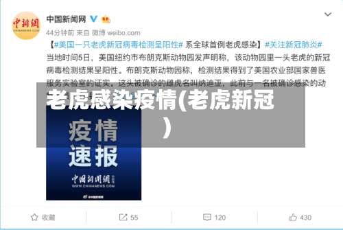 老虎感染疫情(老虎新冠)