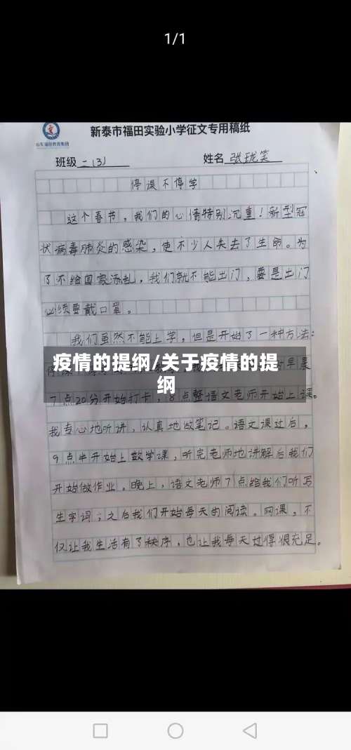 疫情的提纲/关于疫情的提纲