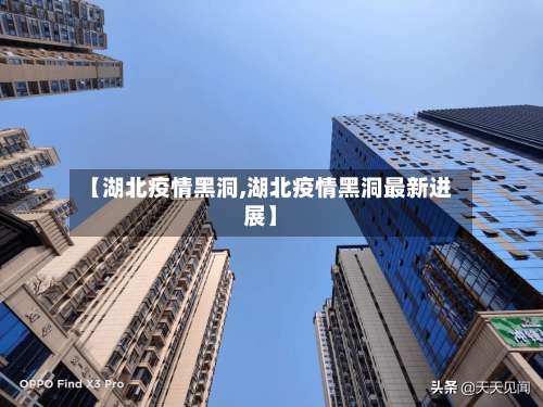 【湖北疫情黑洞,湖北疫情黑洞最新进展】