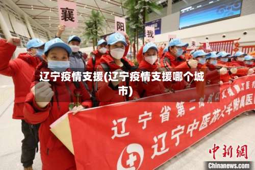 辽宁疫情支援(辽宁疫情支援哪个城市)-第2张图片