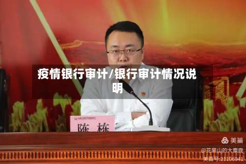 疫情银行审计/银行审计情况说明-第2张图片