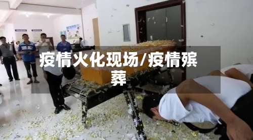 疫情火化现场/疫情殡葬-第3张图片