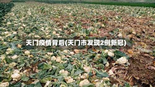 天门疫情背后(天门市发现2例新冠)-第3张图片