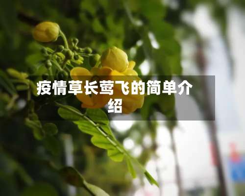 疫情草长莺飞的简单介绍