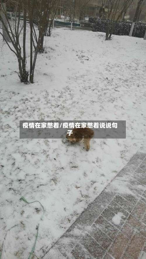 疫情在家憋着/疫情在家憋着说说句子-第2张图片