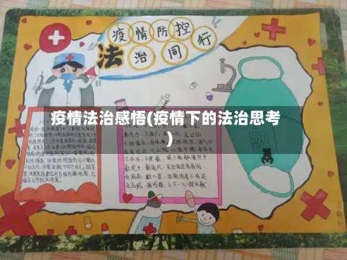 疫情法治感悟(疫情下的法治思考)-第3张图片