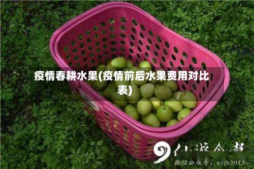疫情春耕水果(疫情前后水果费用对比表)