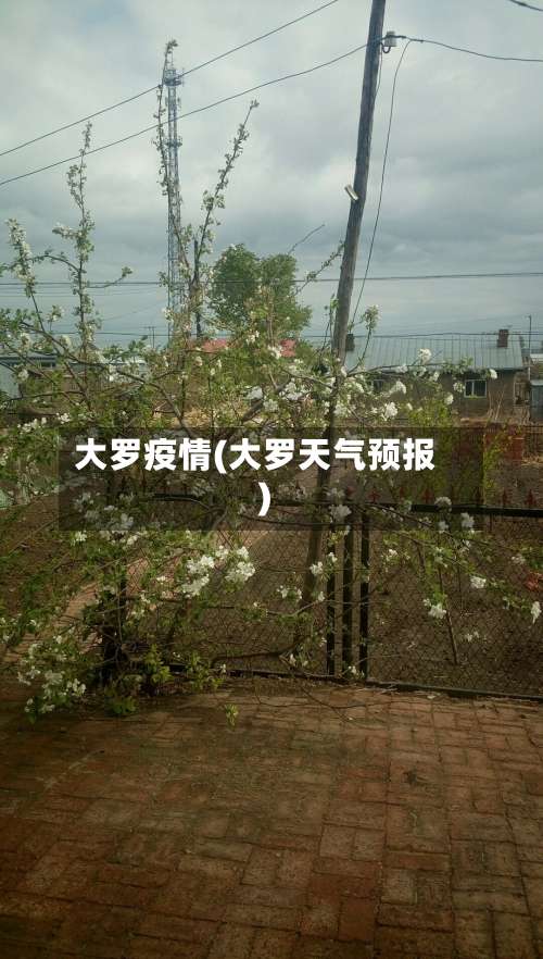 大罗疫情(大罗天气预报)
