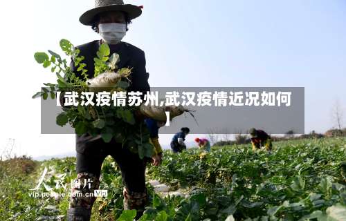 【武汉疫情苏州,武汉疫情近况如何】-第2张图片