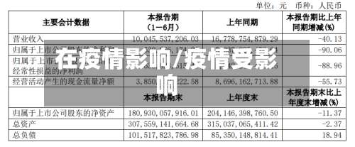 在疫情影响/疫情受影响