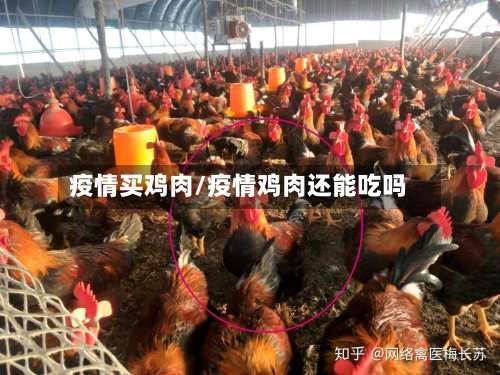疫情买鸡肉/疫情鸡肉还能吃吗