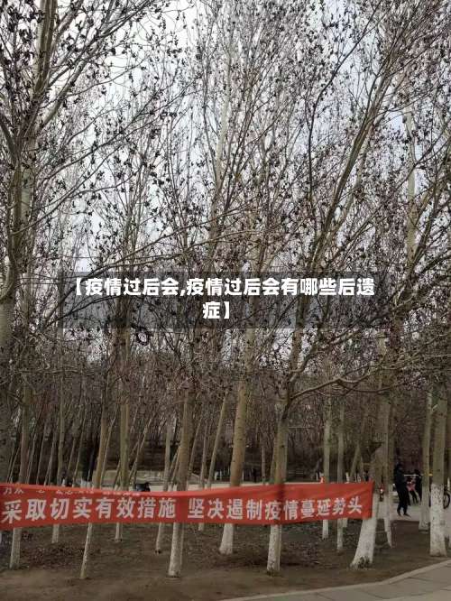 【疫情过后会,疫情过后会有哪些后遗症】-第3张图片